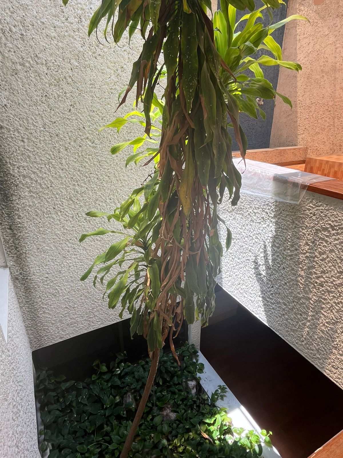 Foto 25