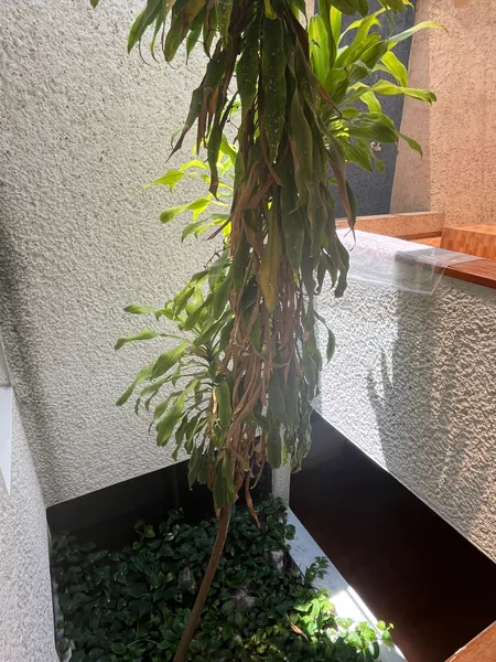 Foto 25