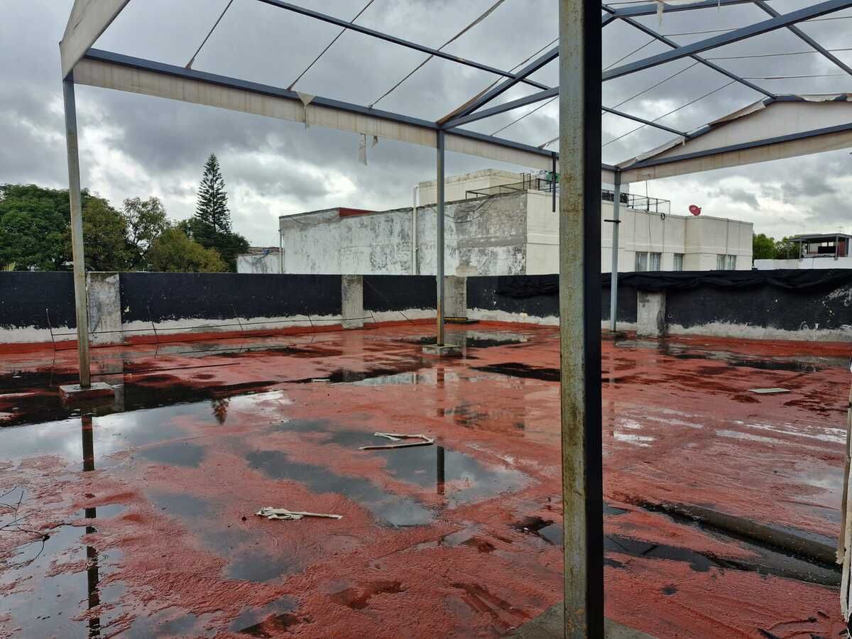 Foto 10