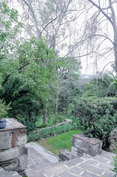 Foto 4