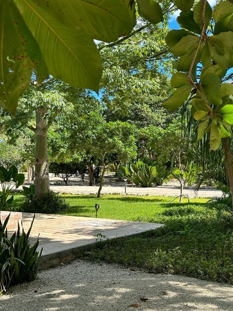 Foto 40