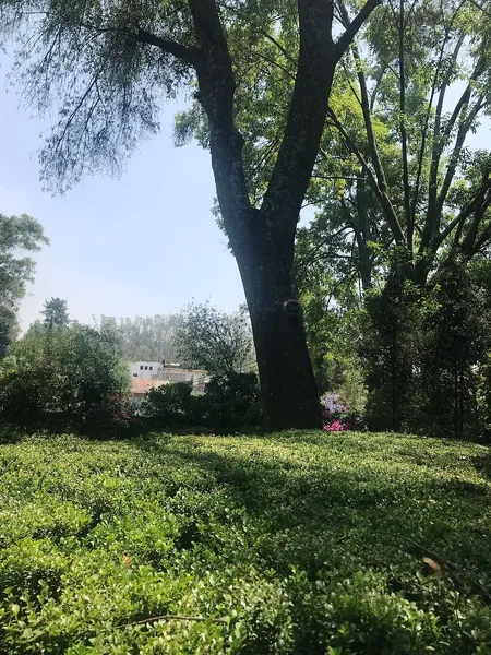Foto 18