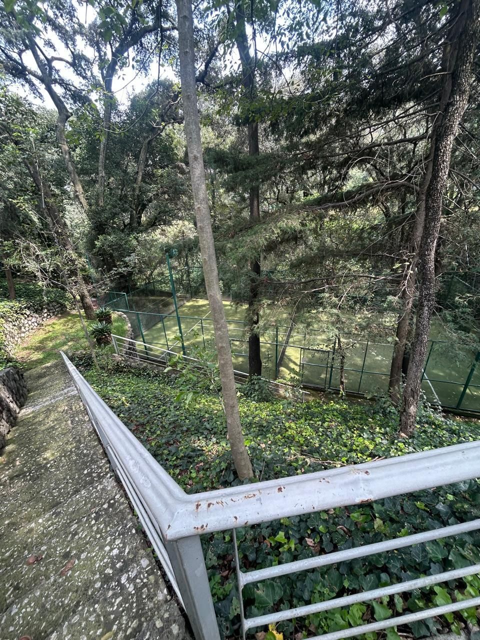 Foto 19