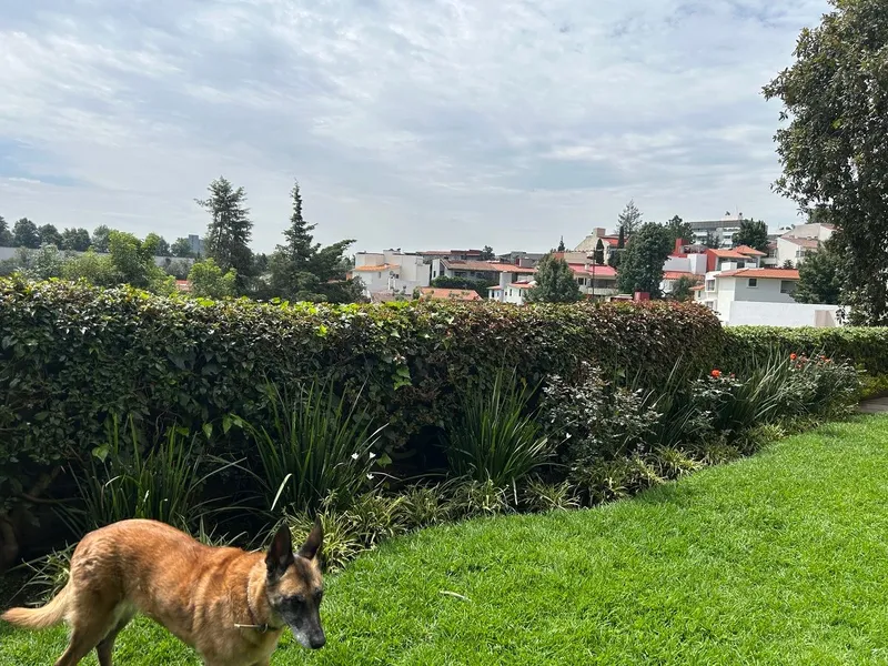 Foto 17