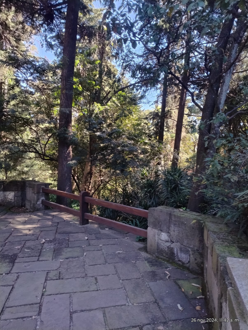 Foto 5