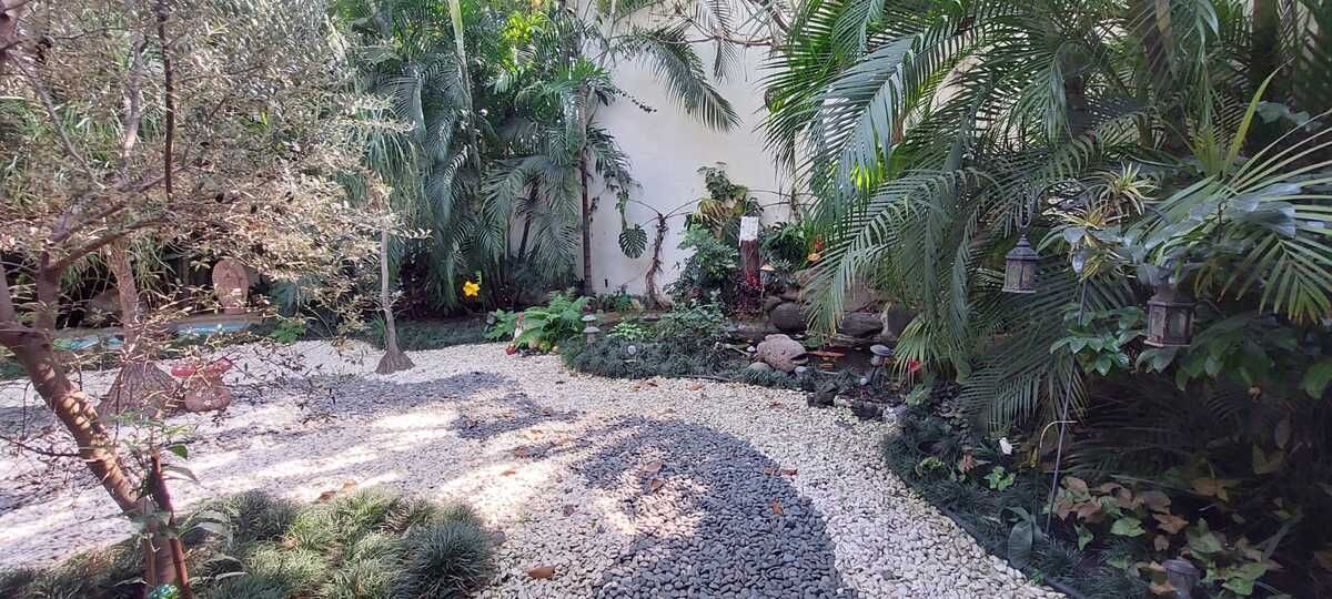 Foto 9