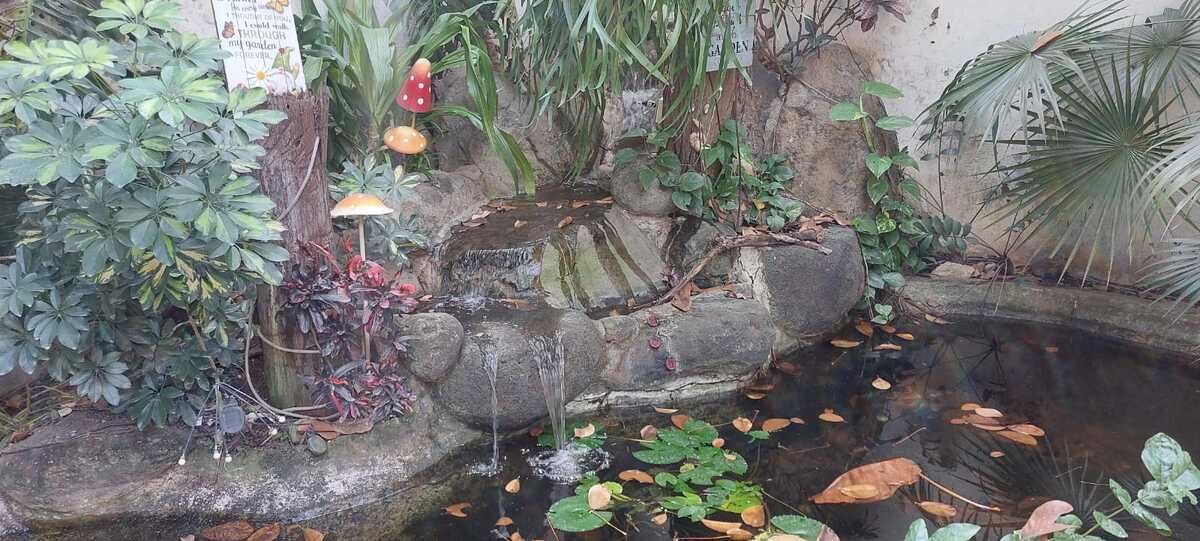 Foto 10