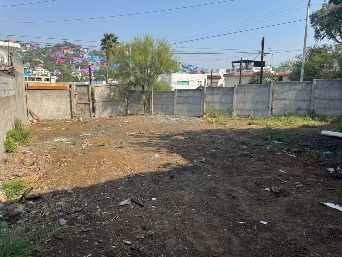 Foto 6