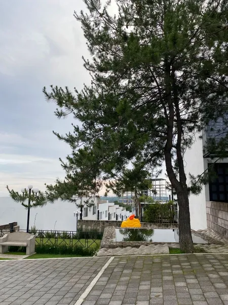 Foto 11