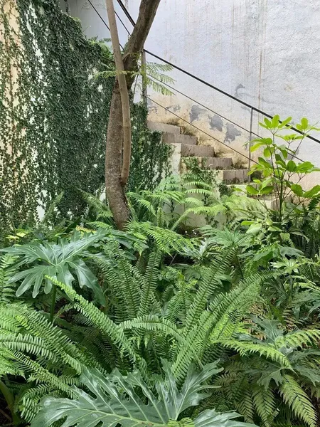 Foto 13