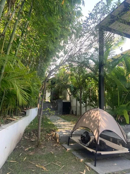 Foto 10