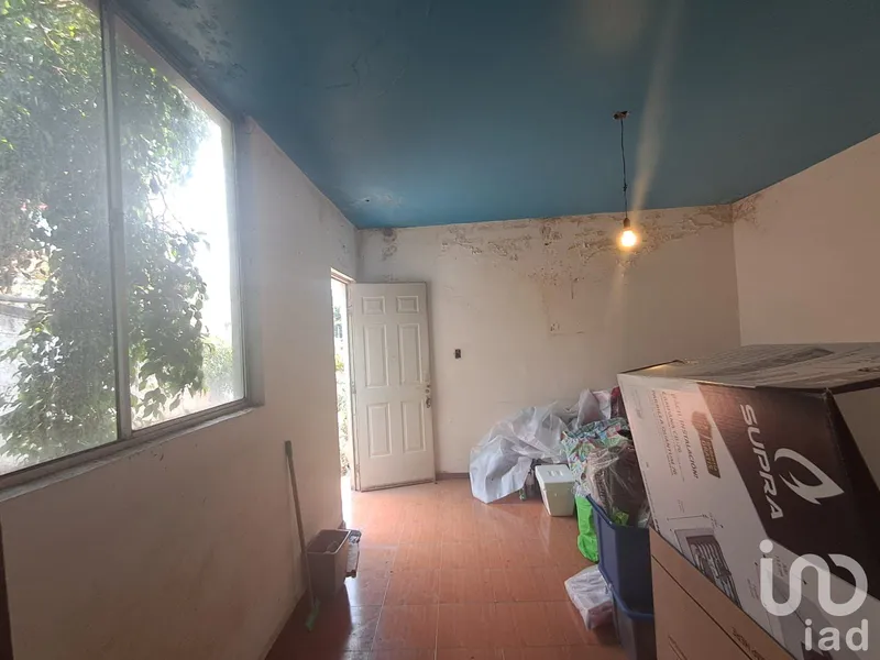 Foto 19