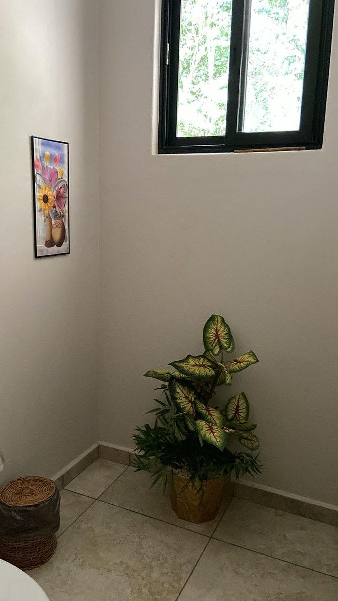 Foto 27