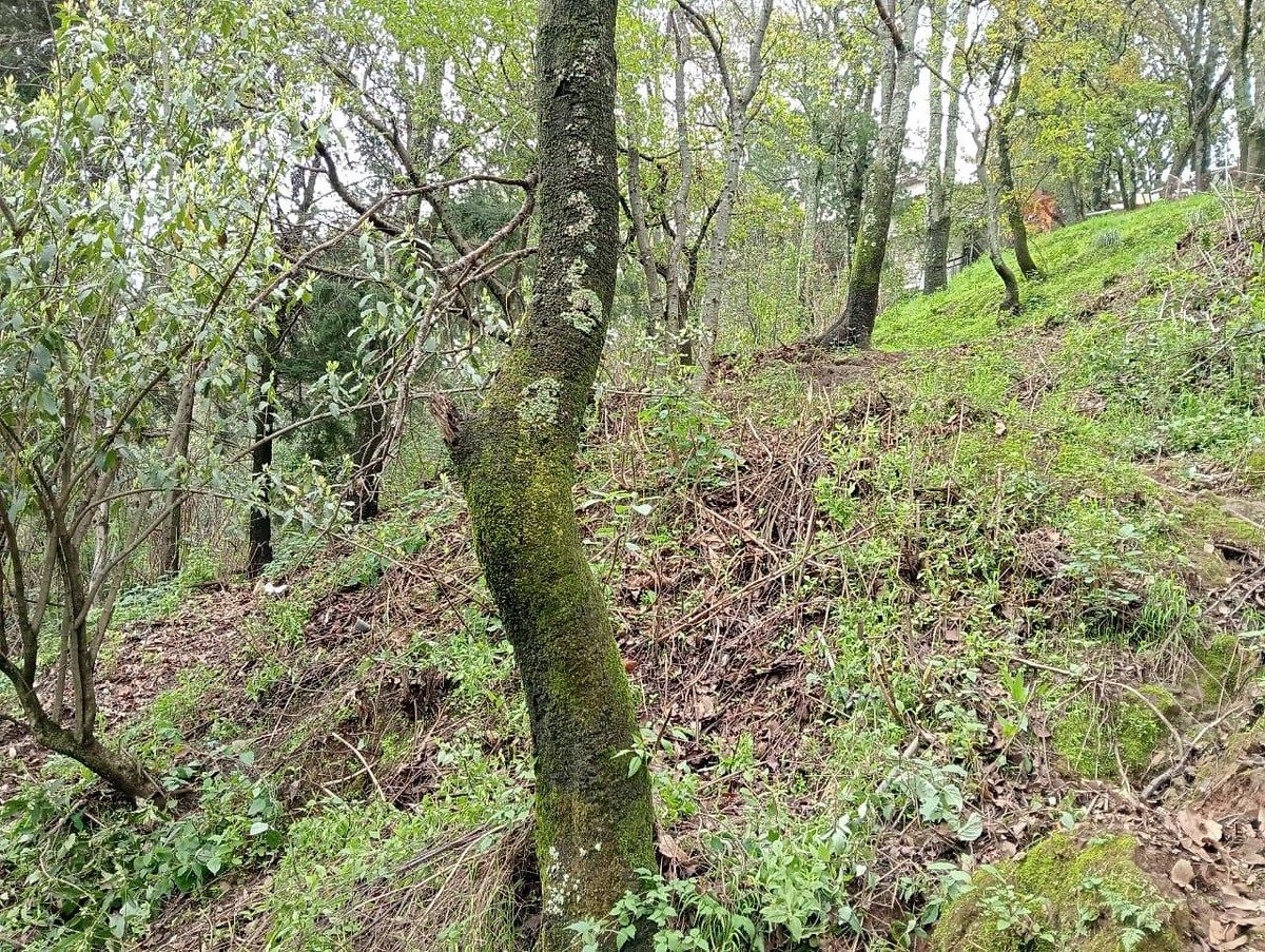 Lote en venta · Ahuatenco, Cuajimalpa de Morelos, Ciudad de México
