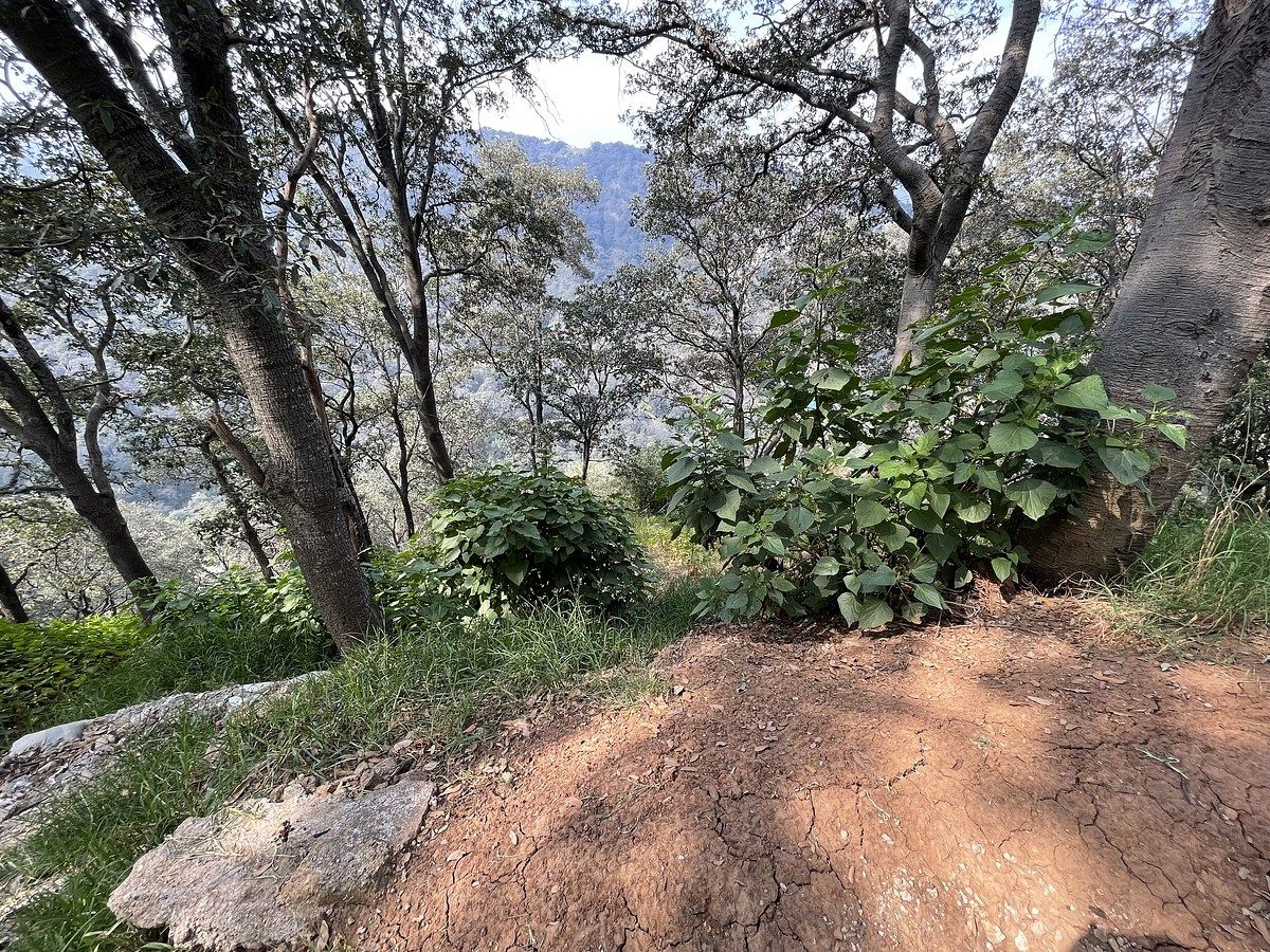Foto 11