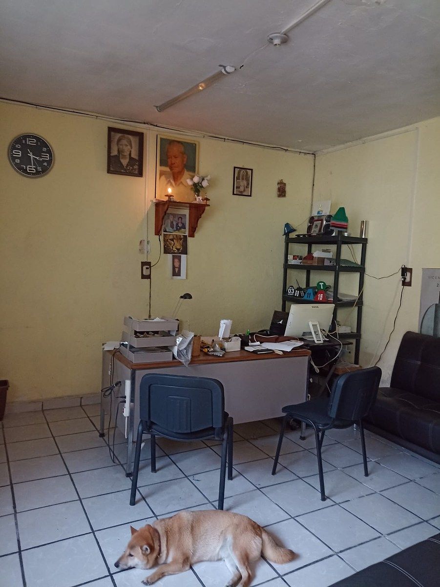 Foto 4