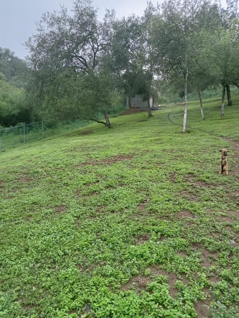 Foto 8