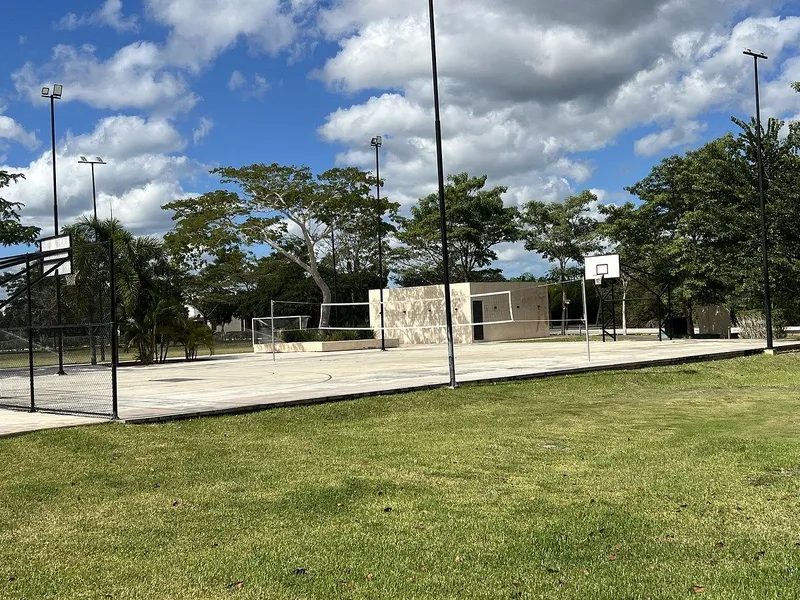 Foto 50