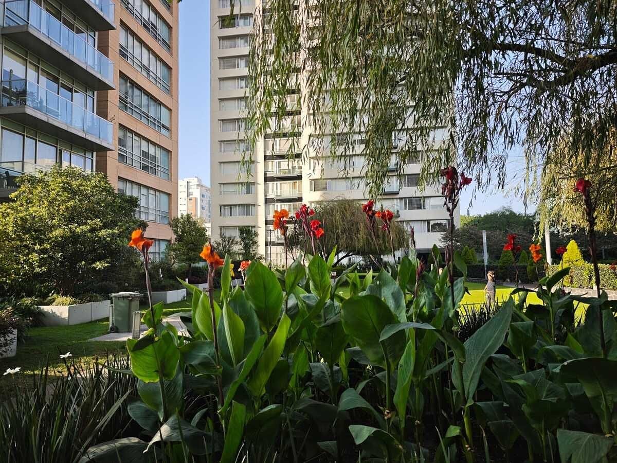 Foto 35