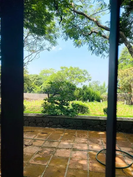 Foto 13