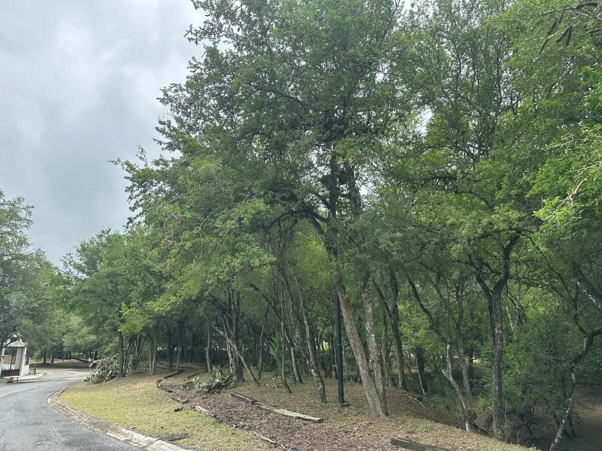Lote en venta · Canoas, Montemorelos, Nuevo León