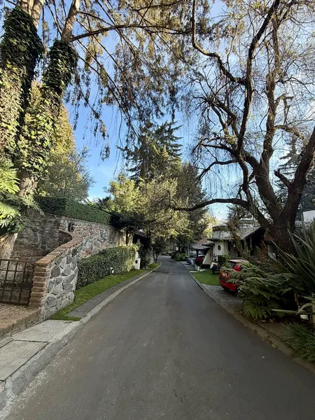 Foto 43