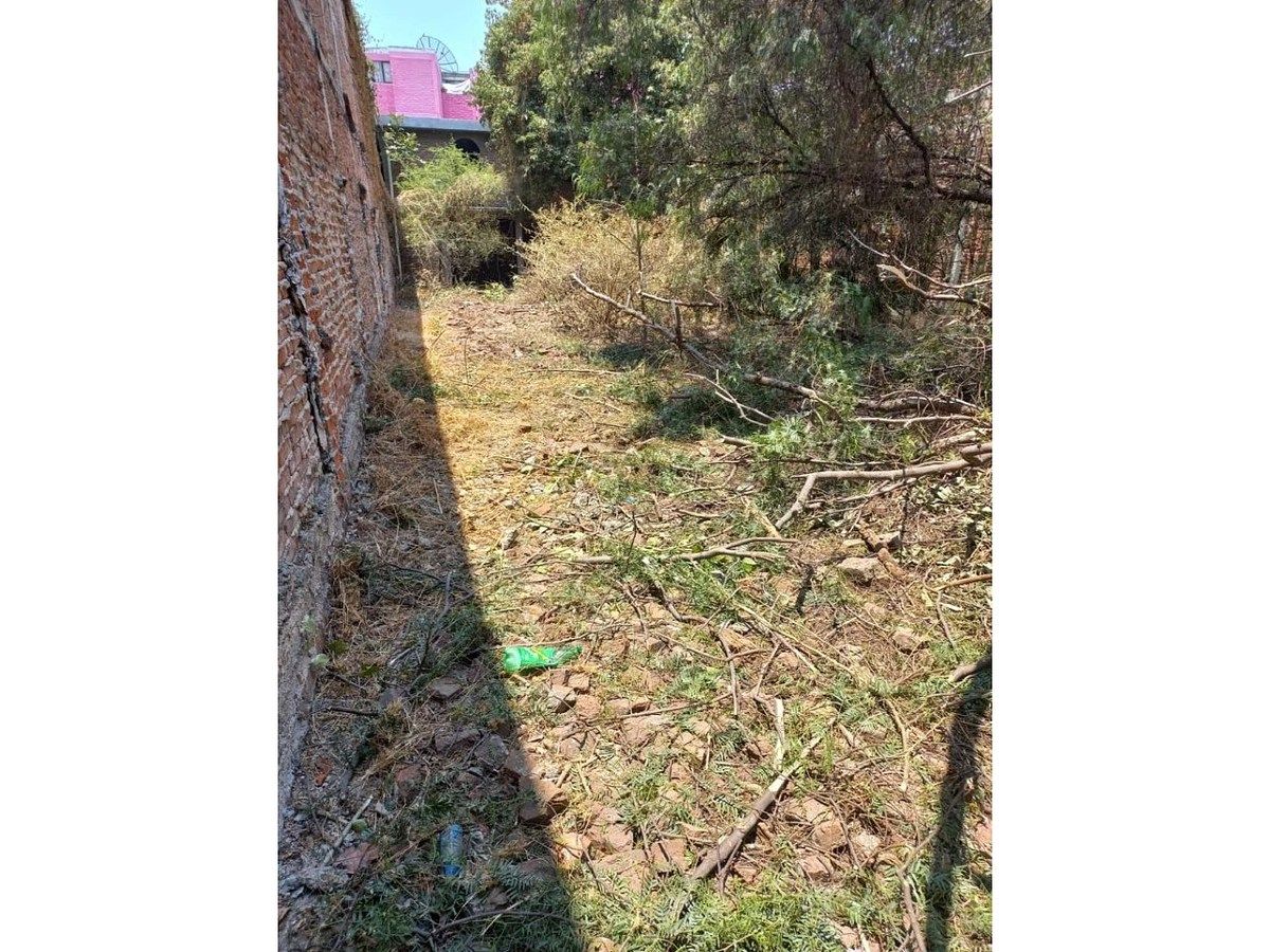 Foto 6