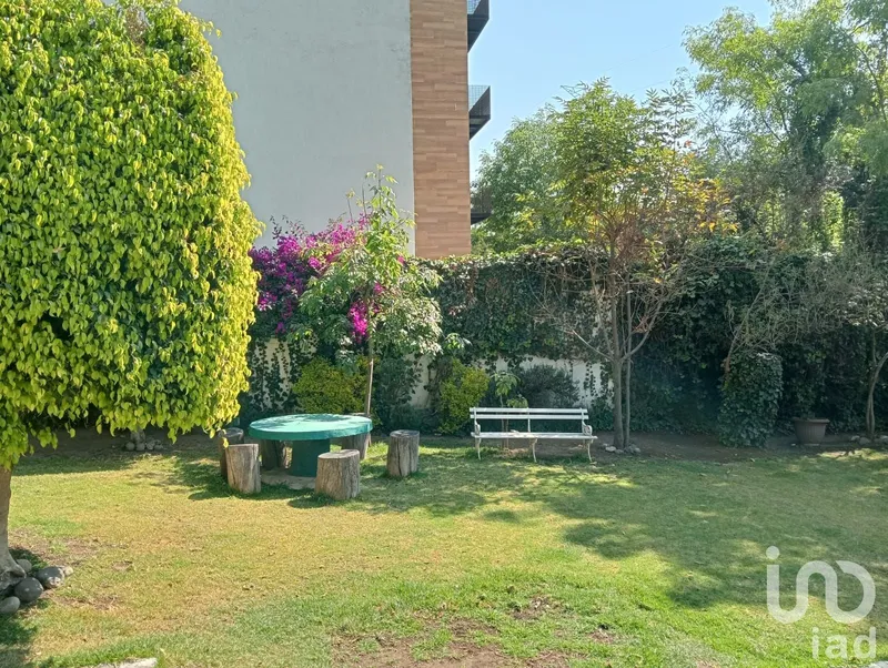 Foto 15
