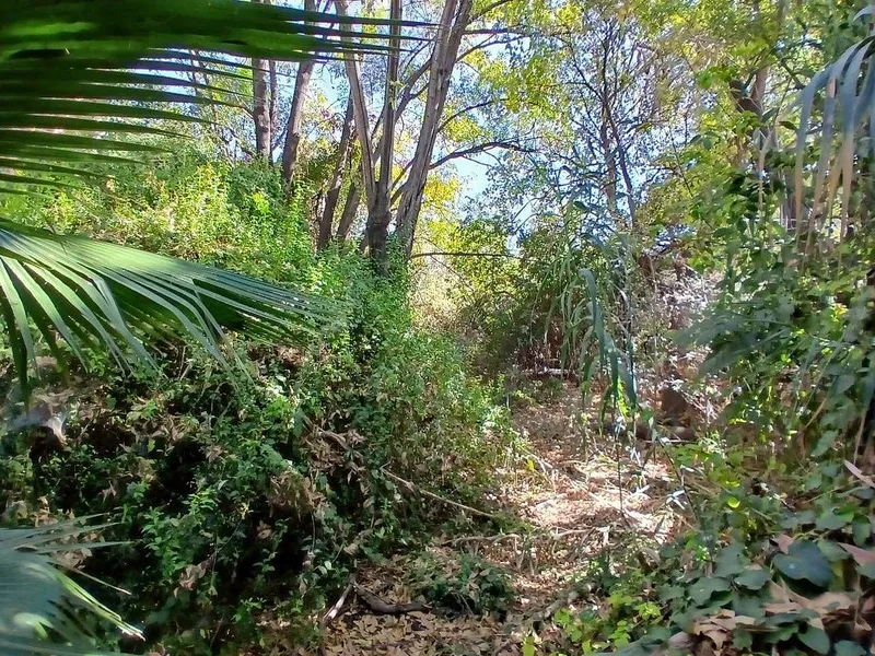 Foto 12