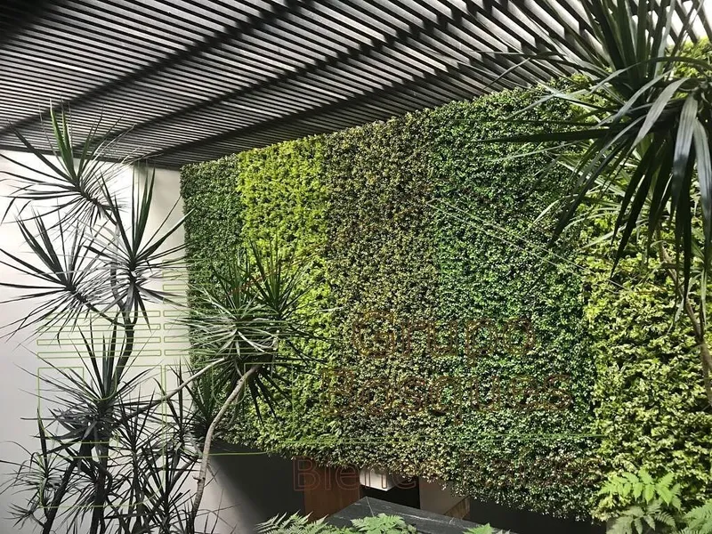 Foto 10