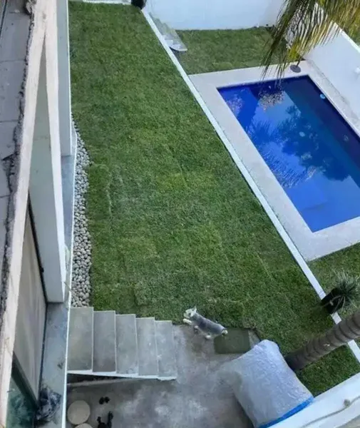 Foto 5