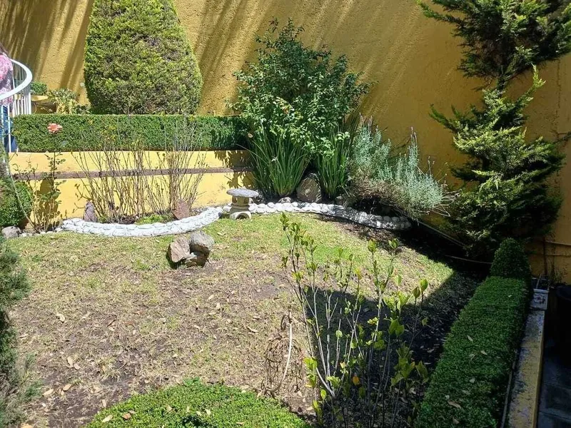 Foto 7