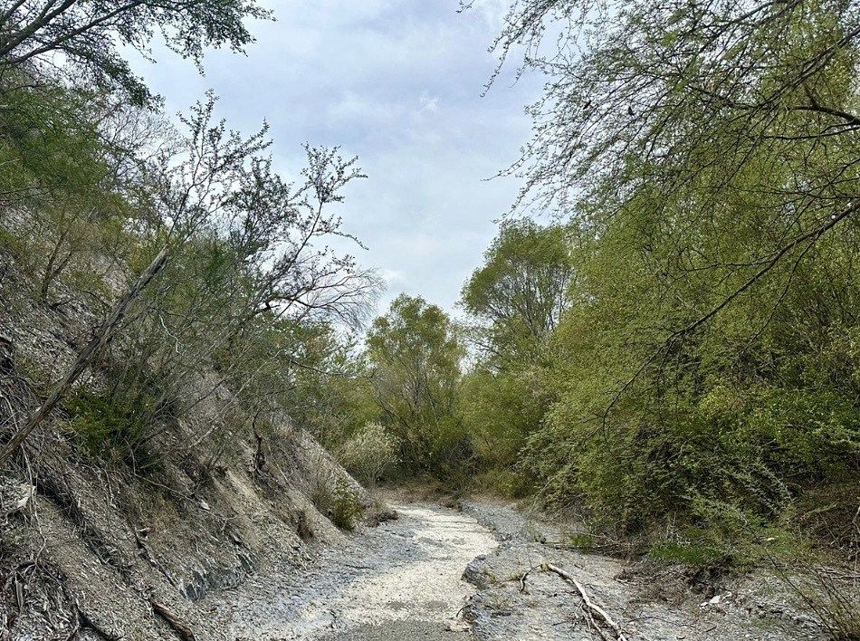Foto 9