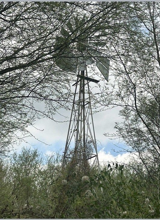 Foto 13