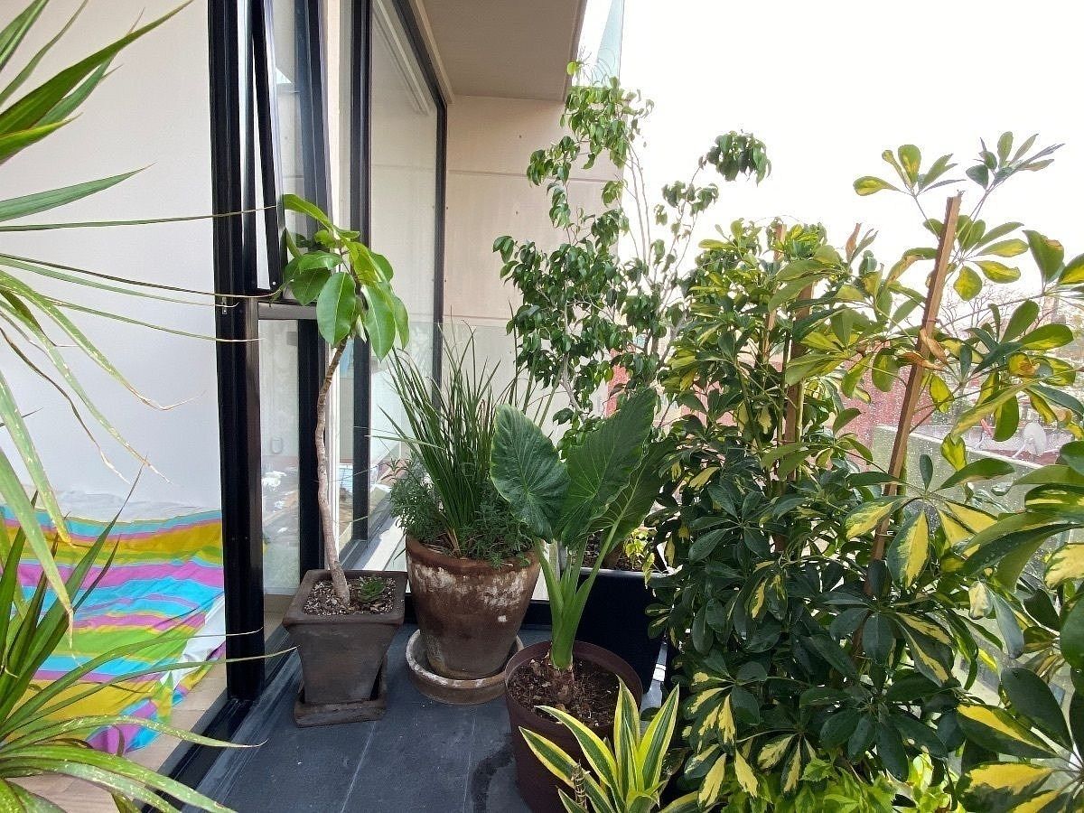 Foto 17