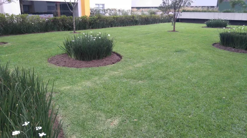 Foto 37