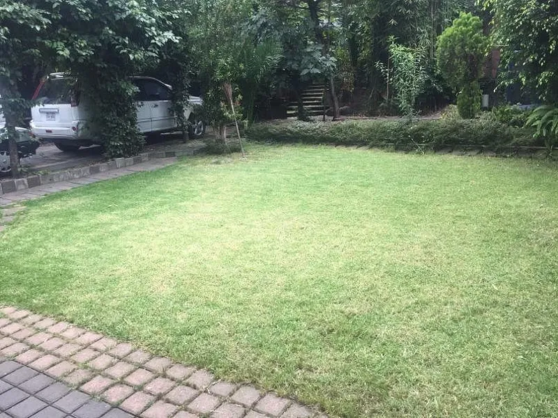 Foto 21