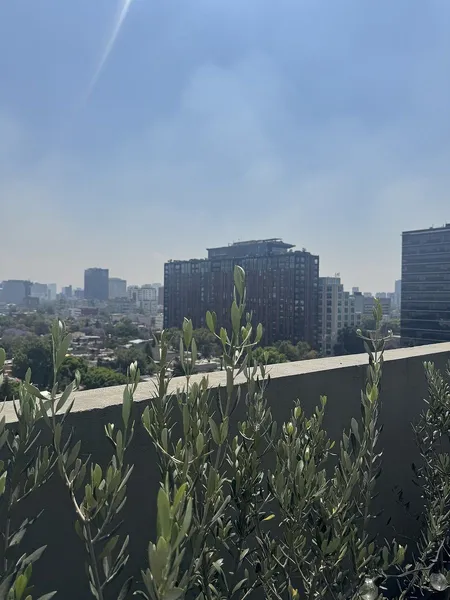 Foto 19