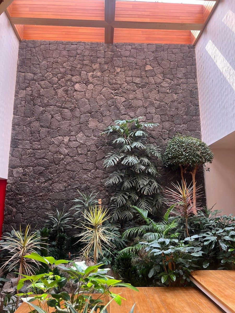 Foto 8