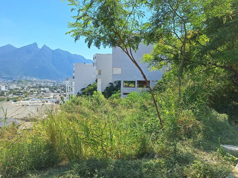 Foto 6