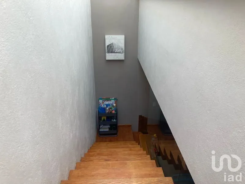 Foto 19