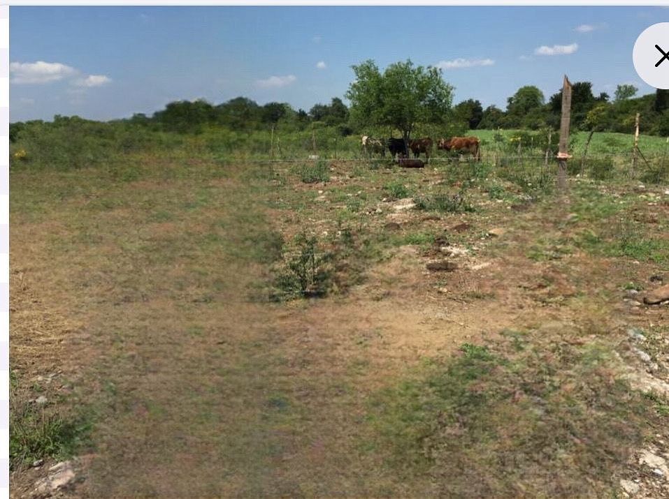 Lote en venta · Ejido Los Palmitos, Cadereyta Jiménez, Nuevo León