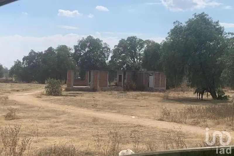 Foto 42