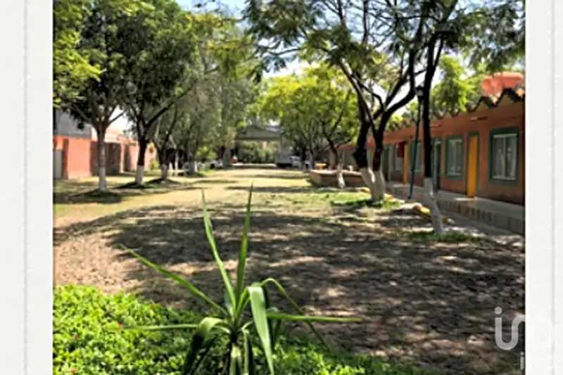 Foto 41