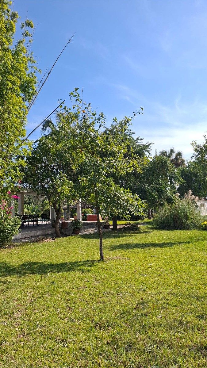 Foto 15