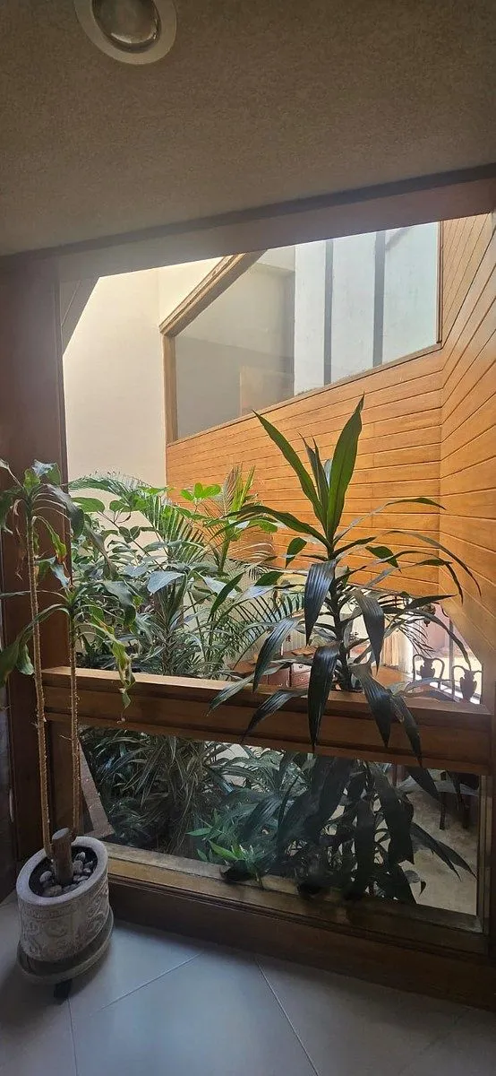 Foto 18