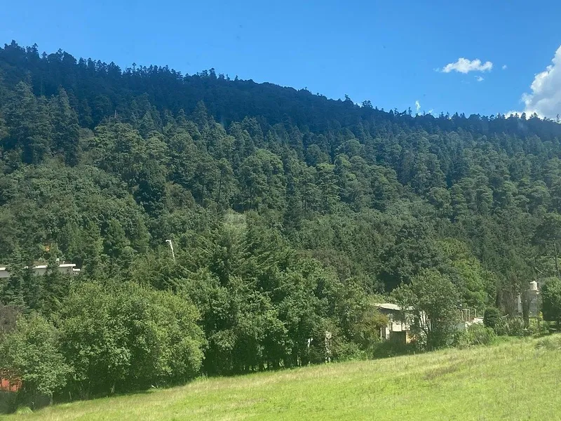 Foto 17