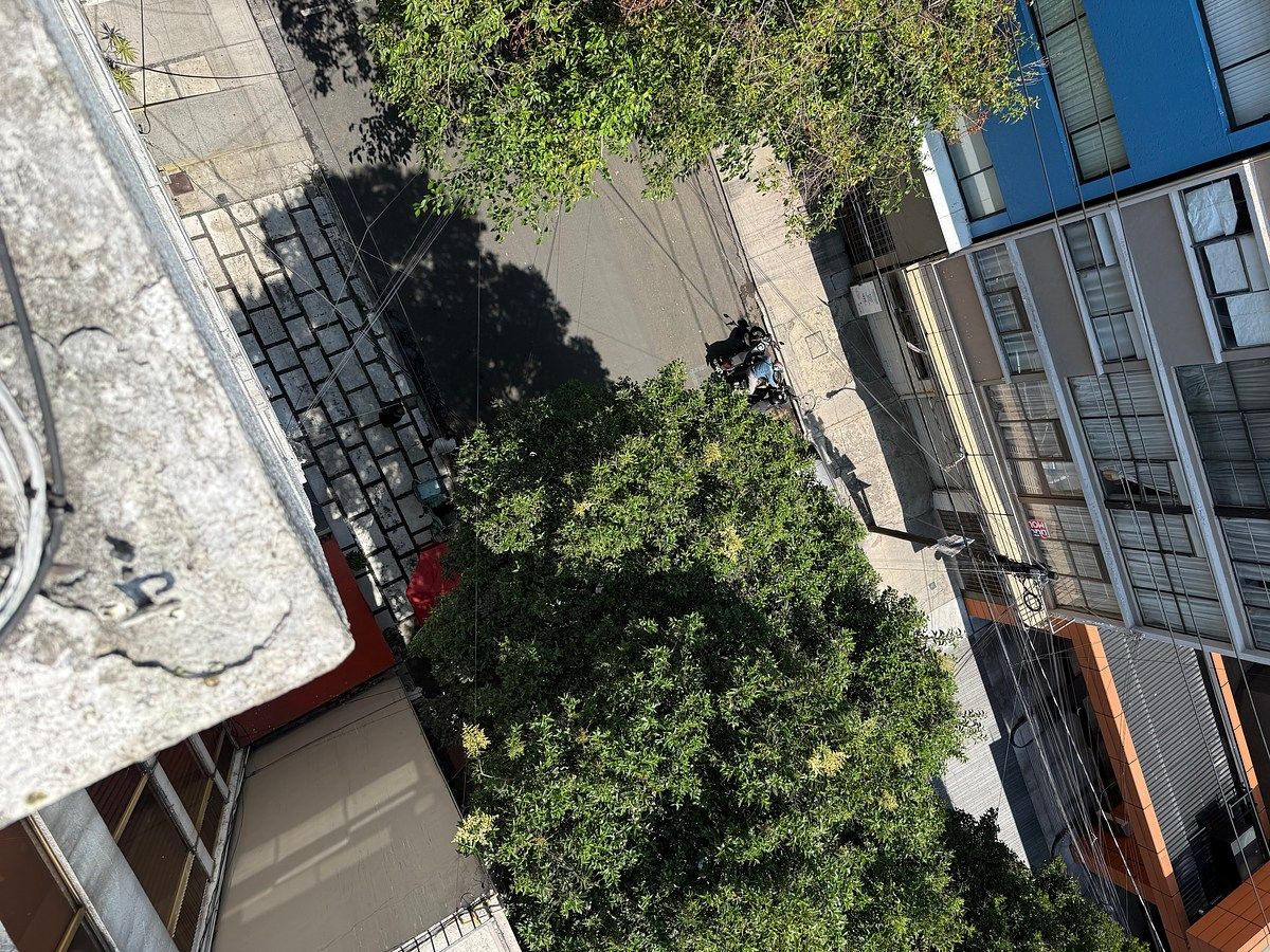 Foto 19