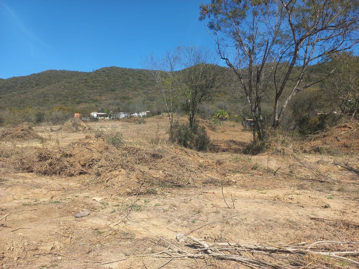 Foto 3
