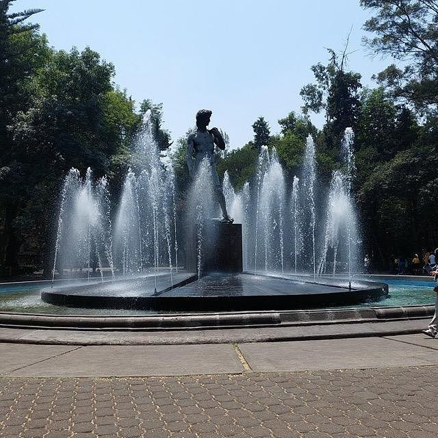 Foto 14